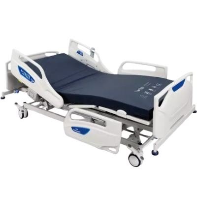 image-removebg-preview (21)